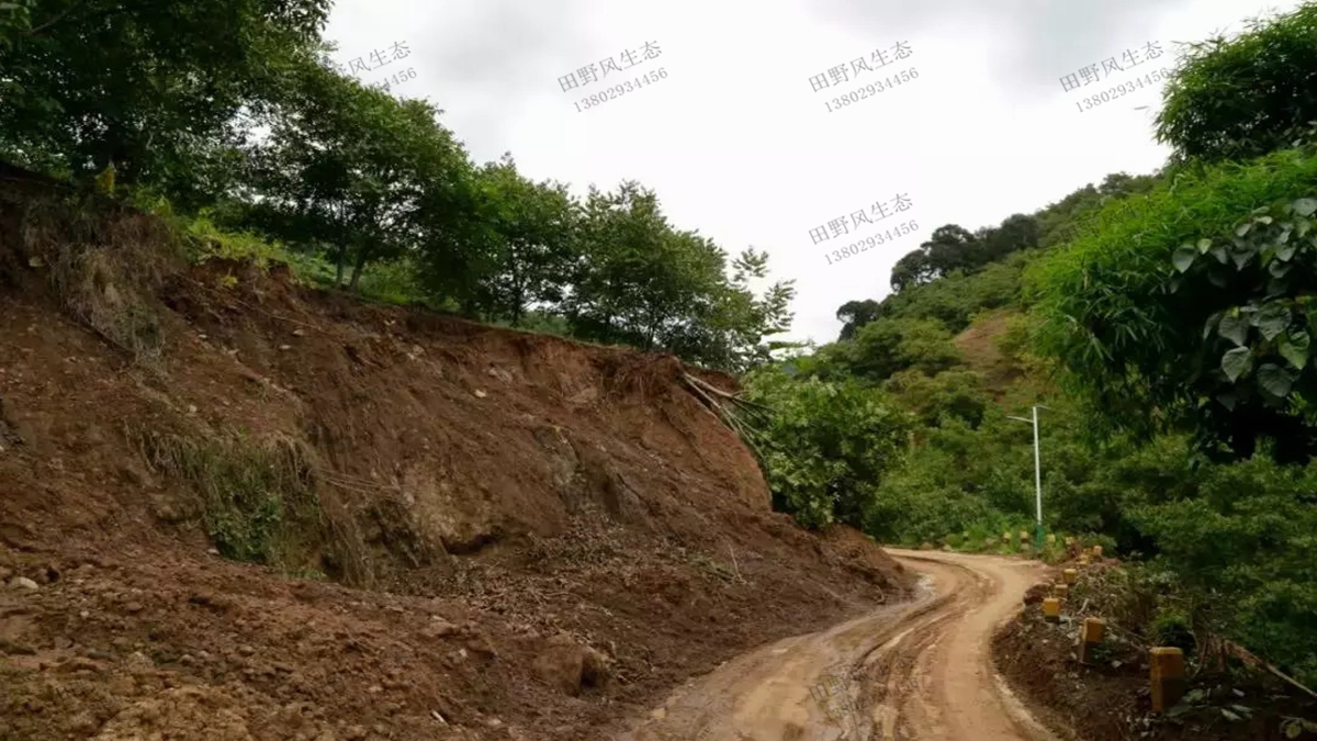 種植什么草種草籽可以預防護坡水土流失？