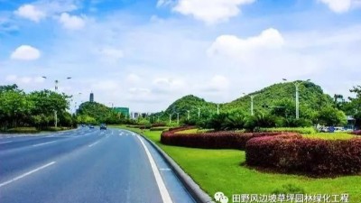 道路綠化中，城市干道植物應怎樣配置？