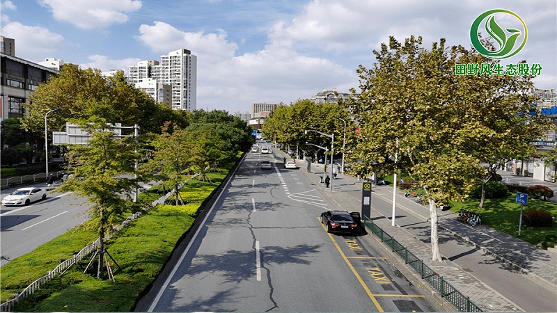 道路綠化,市政綠化