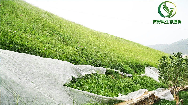 邊坡綠化、生態防護