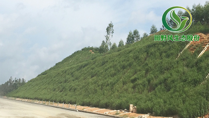 高速公路綠化，生態(tài)防護(hù)