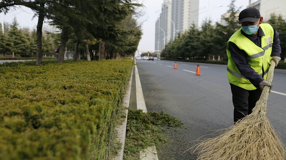 市政道路綠化養護