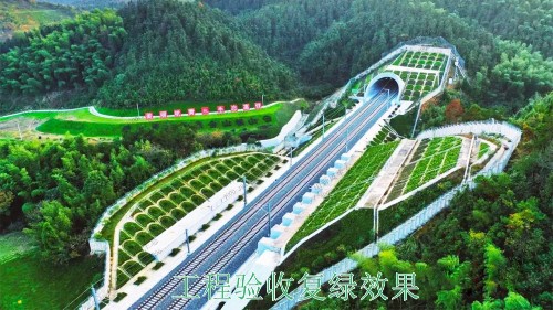 廈深鐵路廣東段鐵路邊坡掛網復綠工程