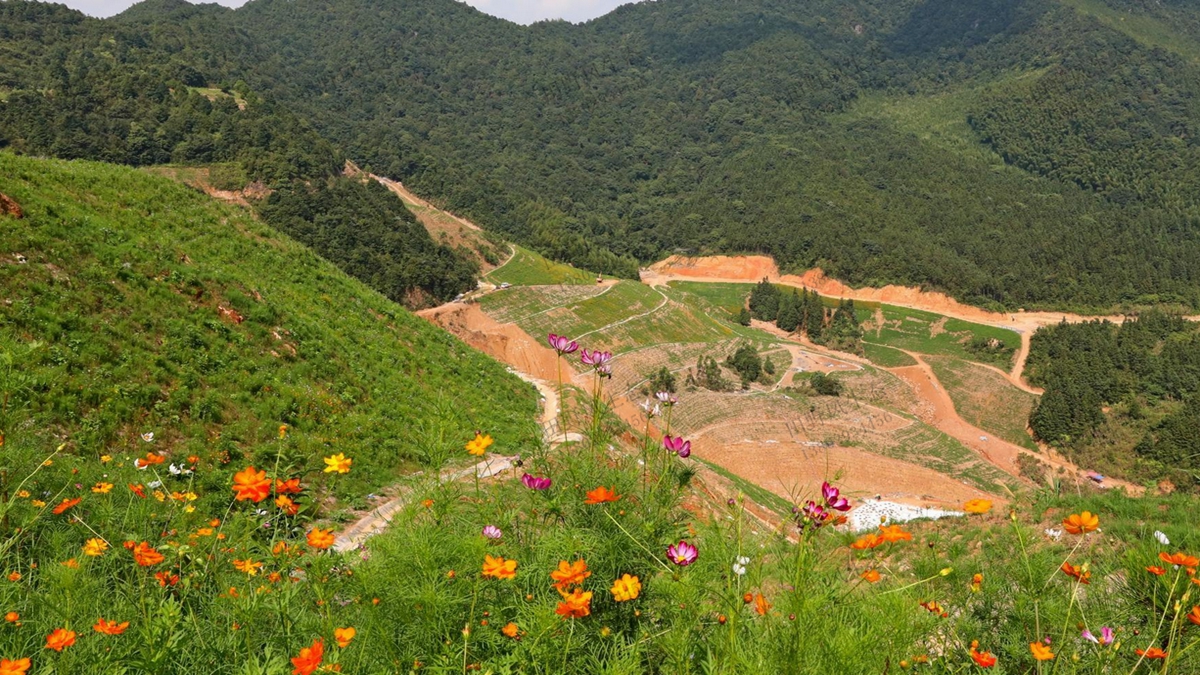 礦山生態修復