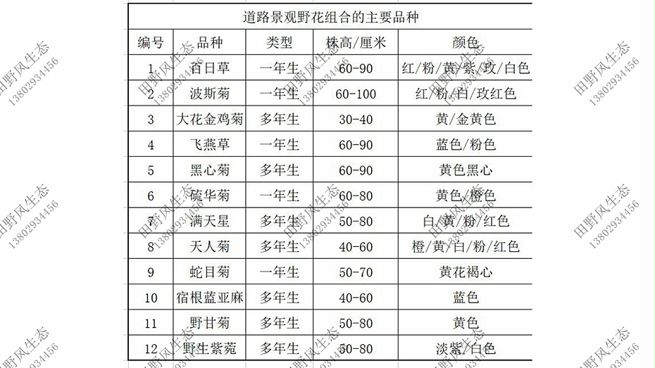 花卉種子購(gòu)買