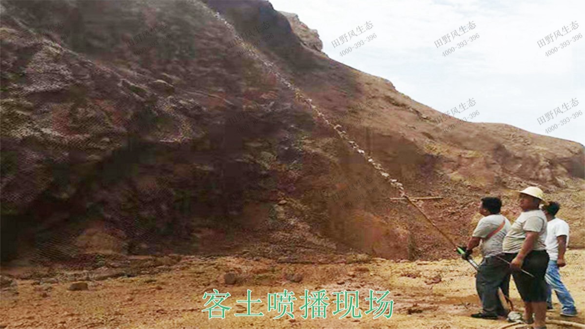 廣西梧州山體滑坡地災(zāi)邊坡綠化