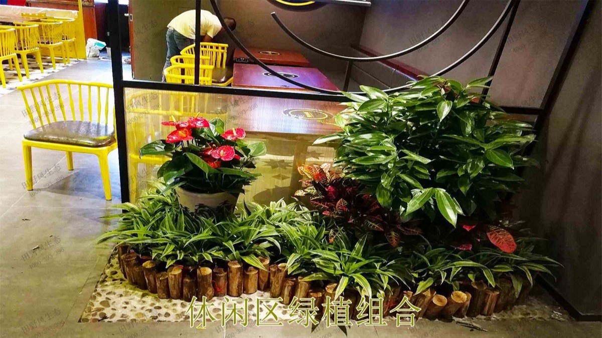 無限極綠植花卉景觀租賃案例展示