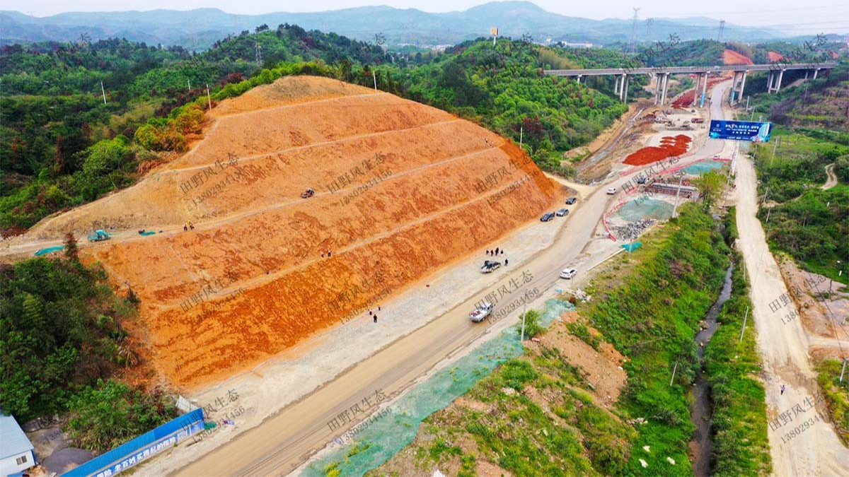 汕湛高速普寧段高速公路邊坡植草