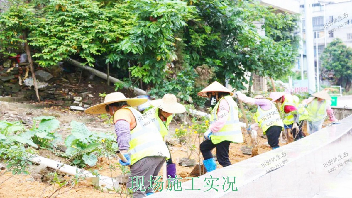 清城區銀盞河道生態治理工程