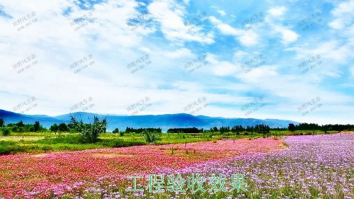 廣西五彩田園休閑農業生態園