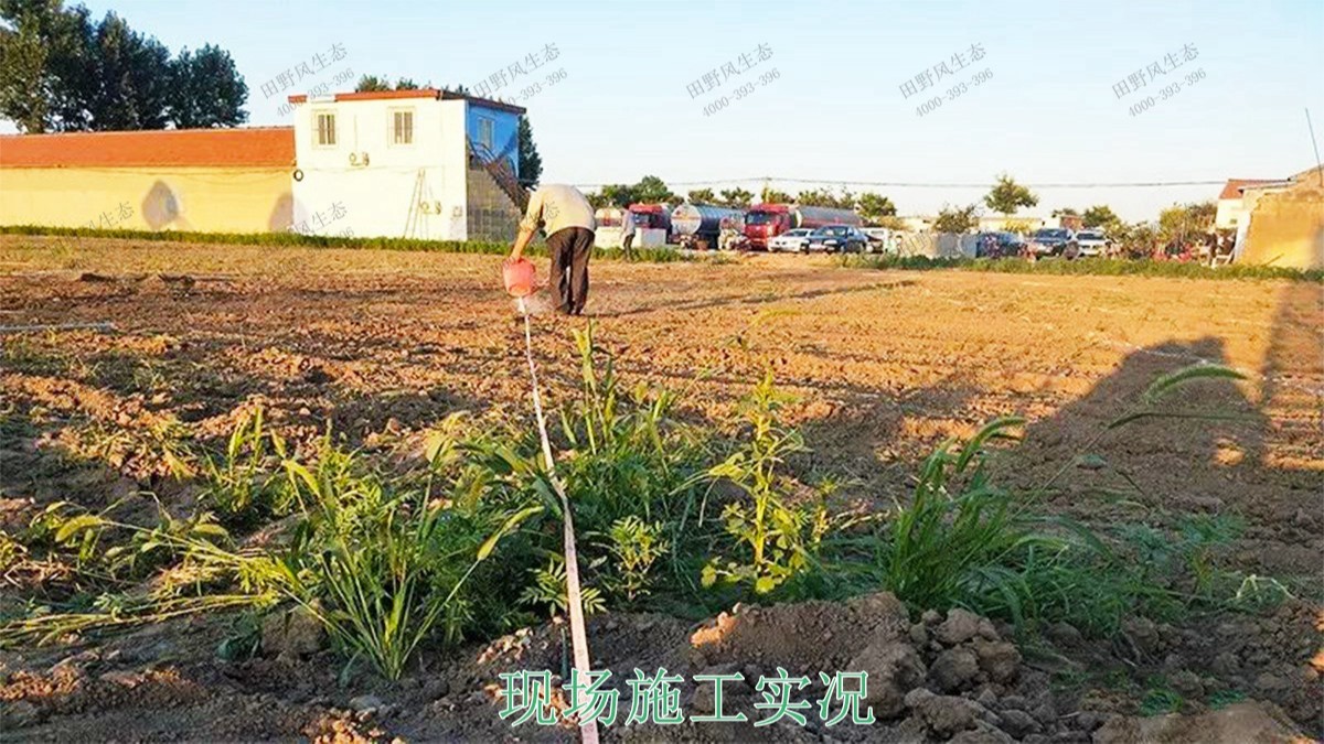 廣西北海市景區花海工程