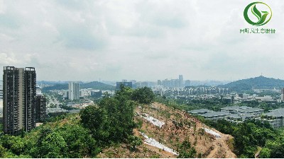 專業團隊航拍勘察公園綠化工程現場