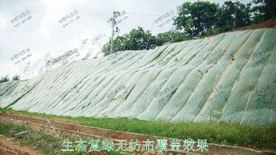 福建三明市工業園廠區邊坡噴草