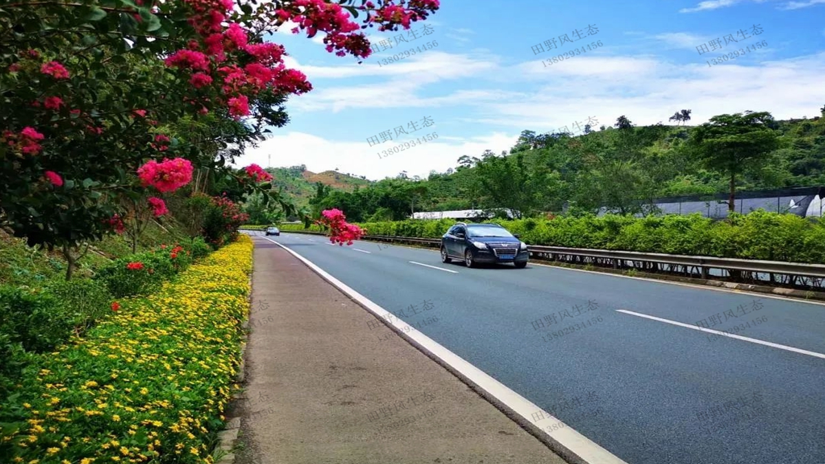 道路綠化植物應該如何配置？