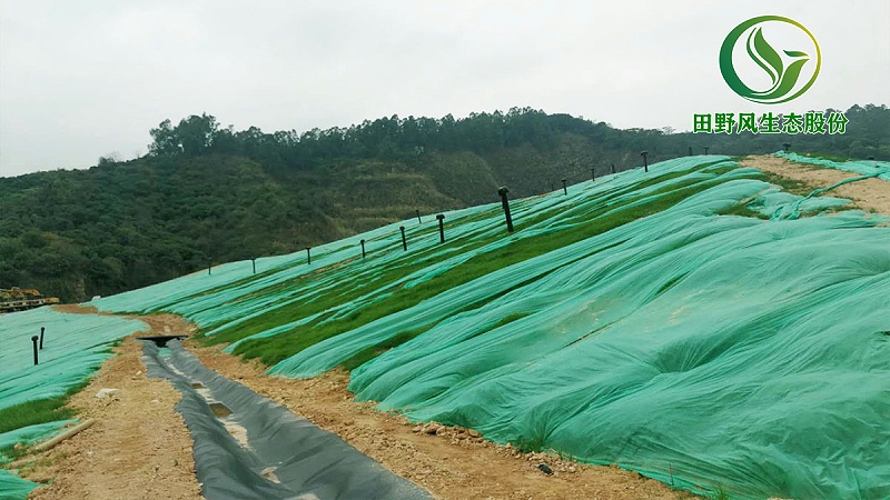 植草復綠,邊坡植草