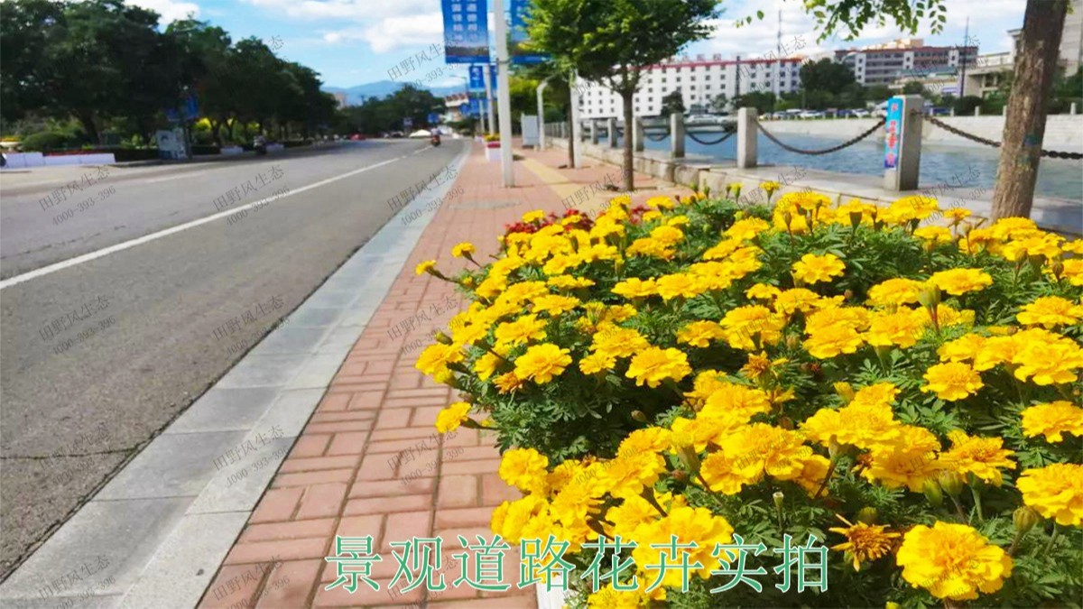 廣東惠州四環路園林景觀工程