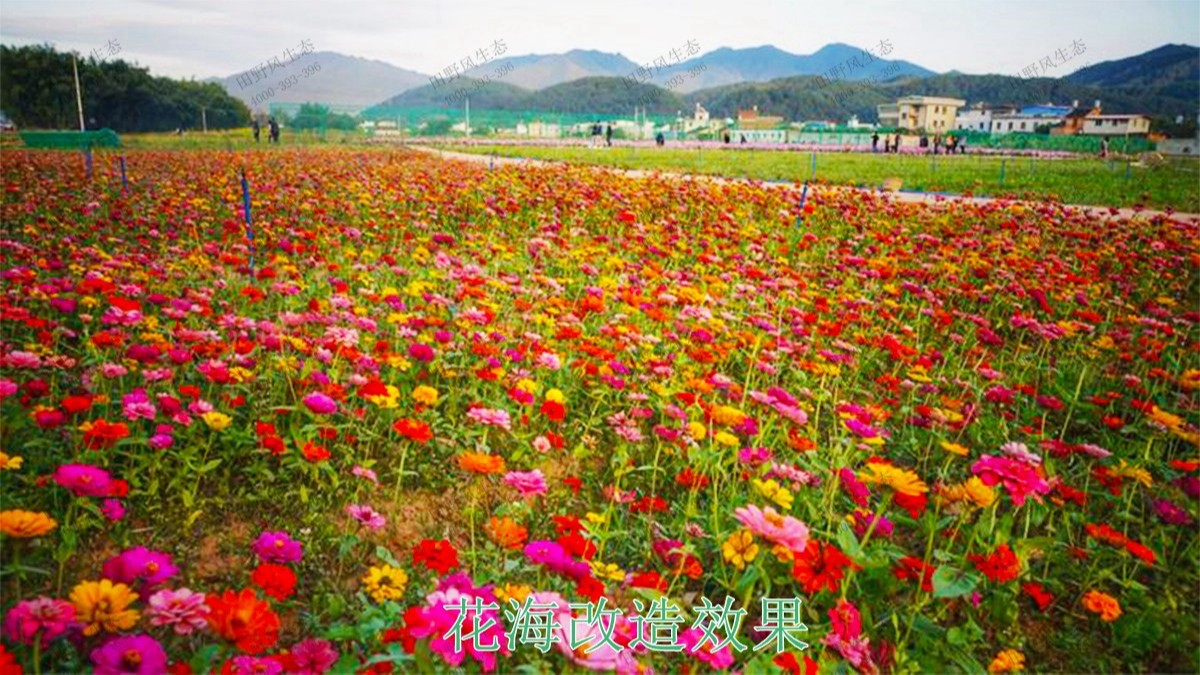 蕉嶺縣美麗鄉(xiāng)村工程項目