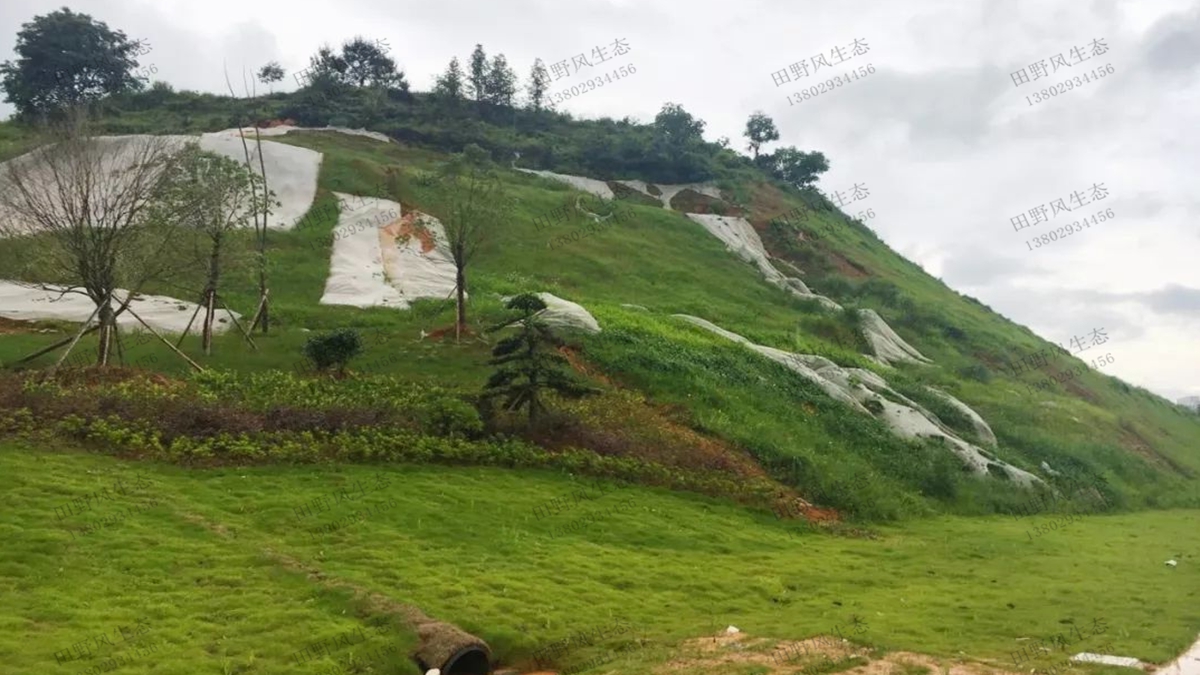 礦山生態(tài)修復