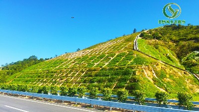 邊坡綠化防護怎么處理最好？