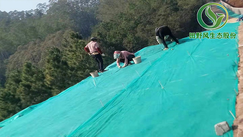 廠區復綠,養豬場綠化