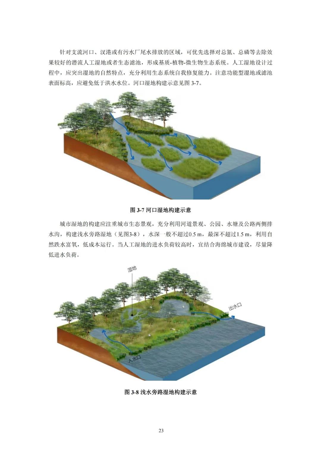 河湖生態緩沖帶保護修復