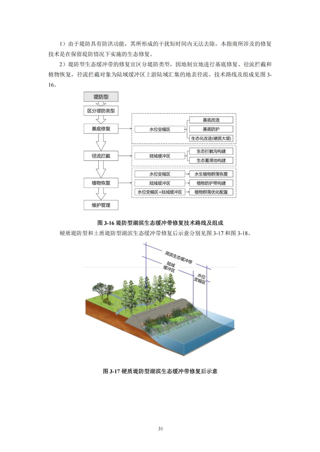 河湖生態緩沖帶保護修復