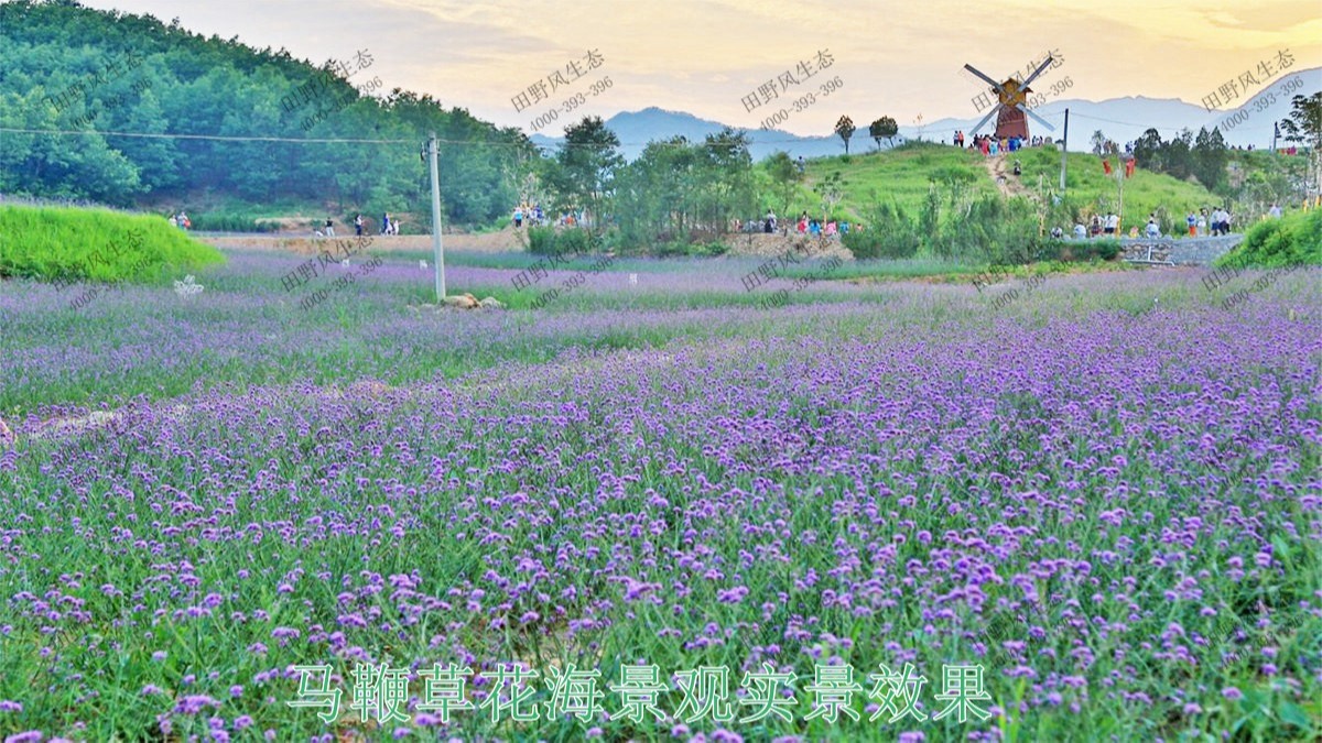 江西贛州美麗鄉村景觀工程