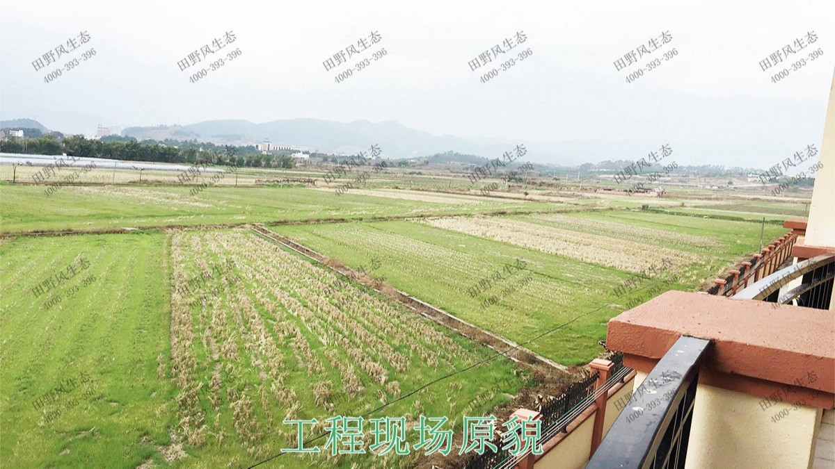 廣東丹霞山國家森林公園花海工程