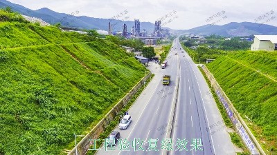 連平縣工業園區邊坡綠化