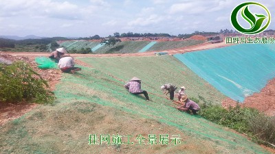 三維土工網邊坡植草技術