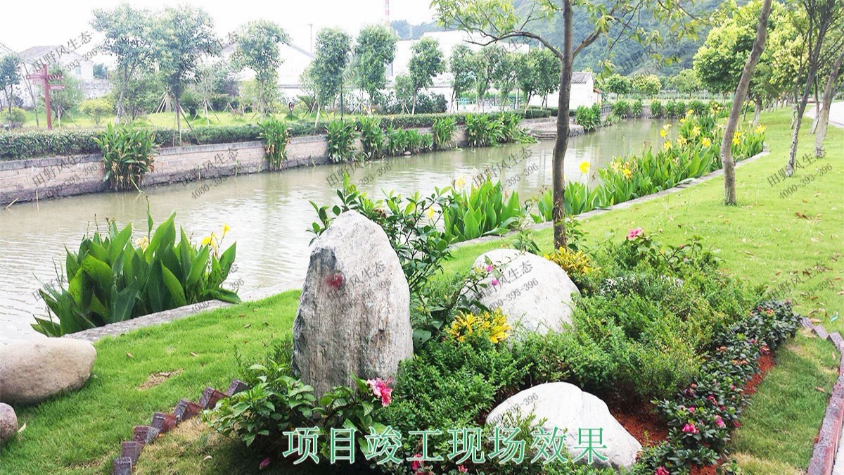 深圳茅洲河生態河道邊坡噴草