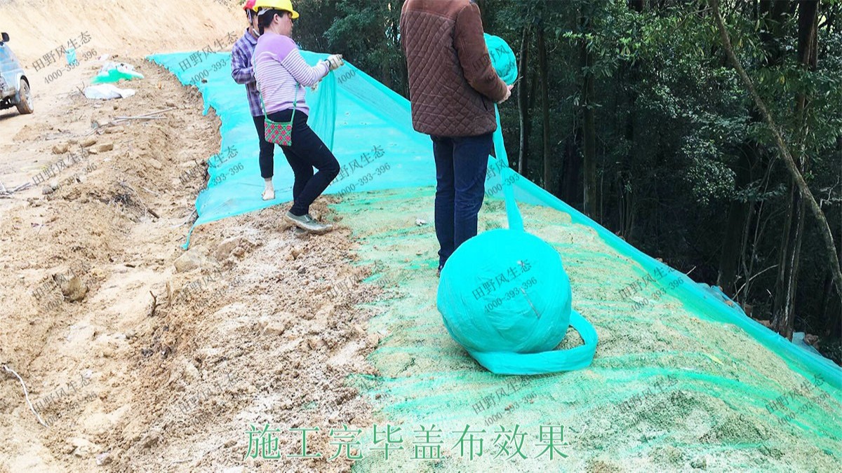 廣州白水山森林公園生態修復