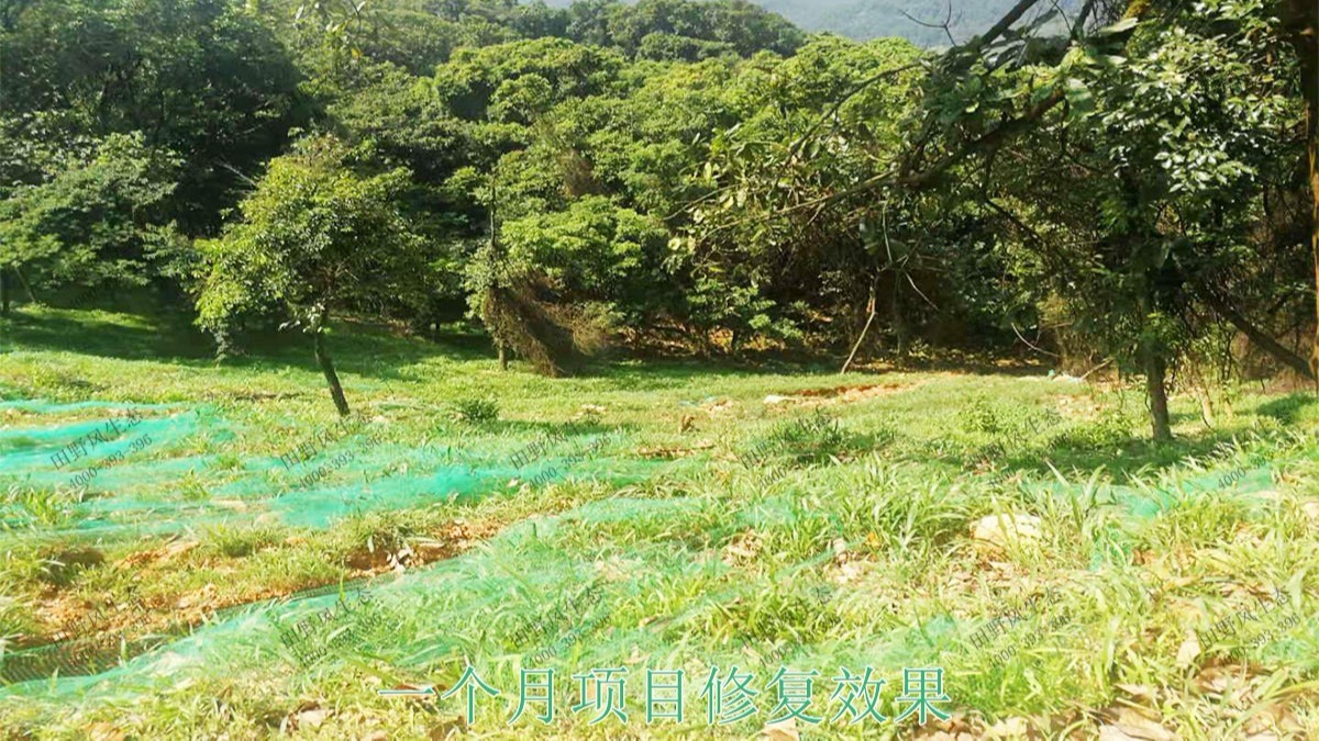 廣州白水山森林公園生態修復