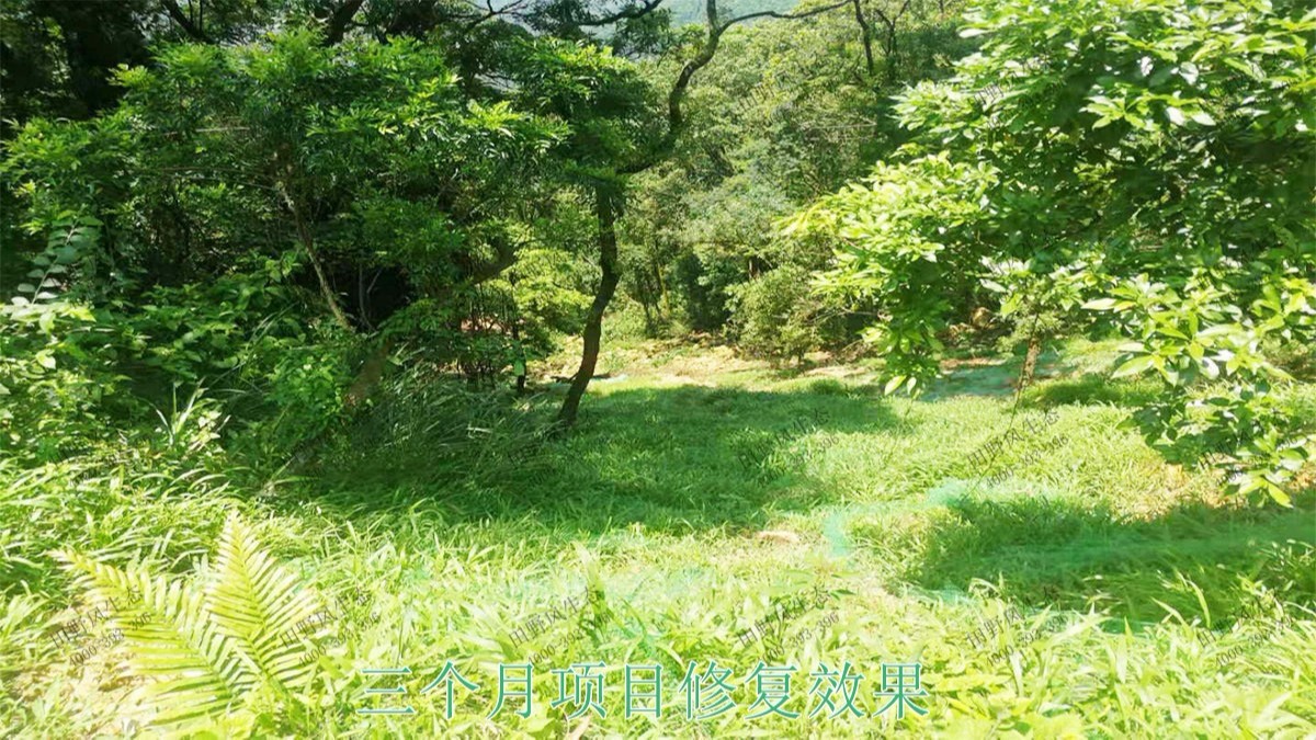 廣州白水山森林公園生態修復