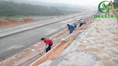 高速公路綠化，有哪些方法與竅門呢？