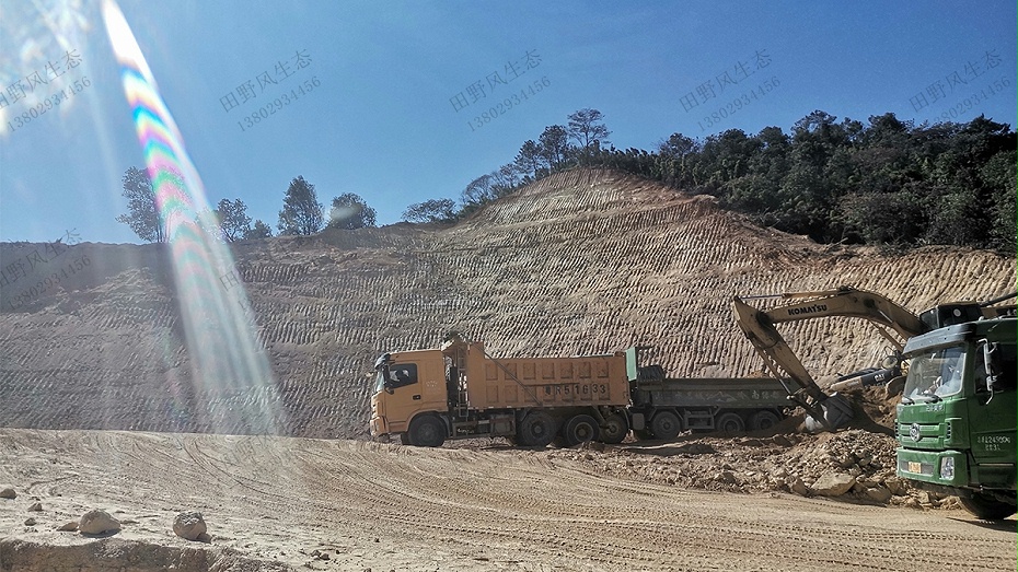 公路邊坡復綠