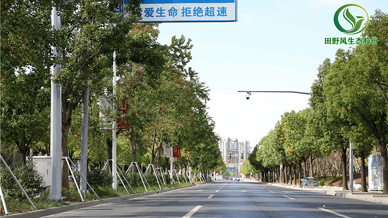 公路綠化,高速公路綠化